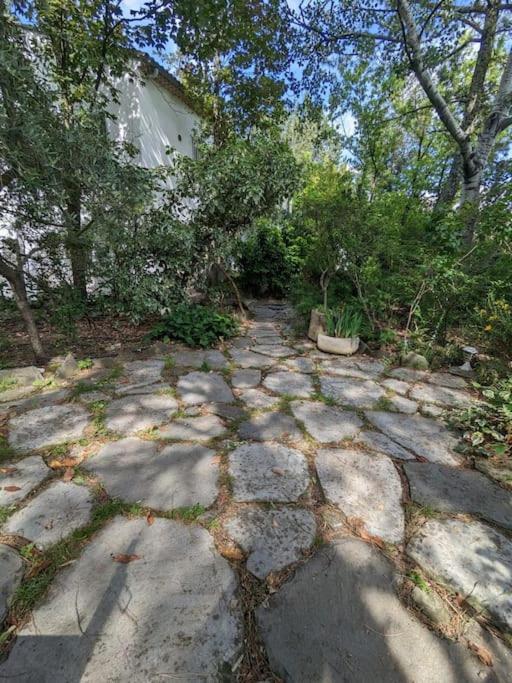 Maison Spacieuse Et Lumineuse 4 Personnes Lavilledieu  Exteriör bild