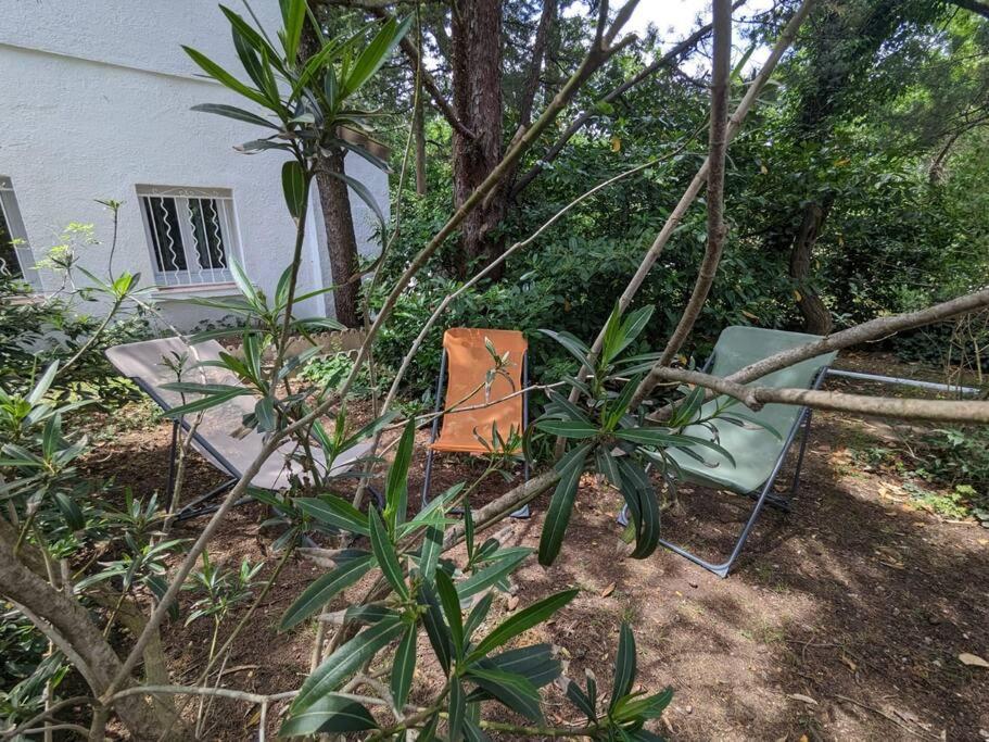 Maison Spacieuse Et Lumineuse 4 Personnes Lavilledieu  Exteriör bild